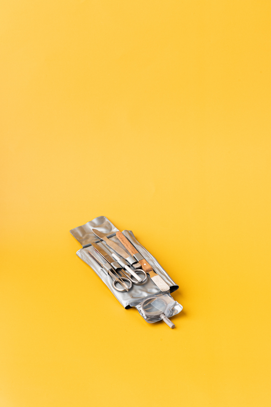 Dissection Kit on Yellow Background